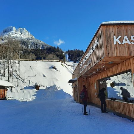 Ausseerland Apartments - Relax, Ski, Hike And Bike, Garden, Parking, Bbq, Near Hallstatt, Loser, Tauplitz And Krippenstein, Free Wi-Fi And Netflix Bad Aussee Luaran gambar