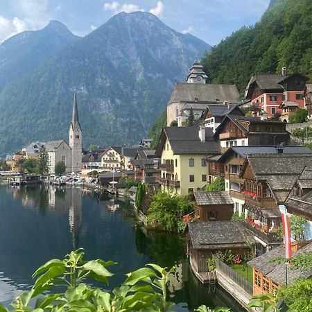 Ausseerland Apartments - Relax, Ski, Hike And Bike, Garden, Parking, Bbq, Near Hallstatt, Loser, Tauplitz And Krippenstein, Free Wi-Fi And Netflix Bad Aussee Luaran gambar
