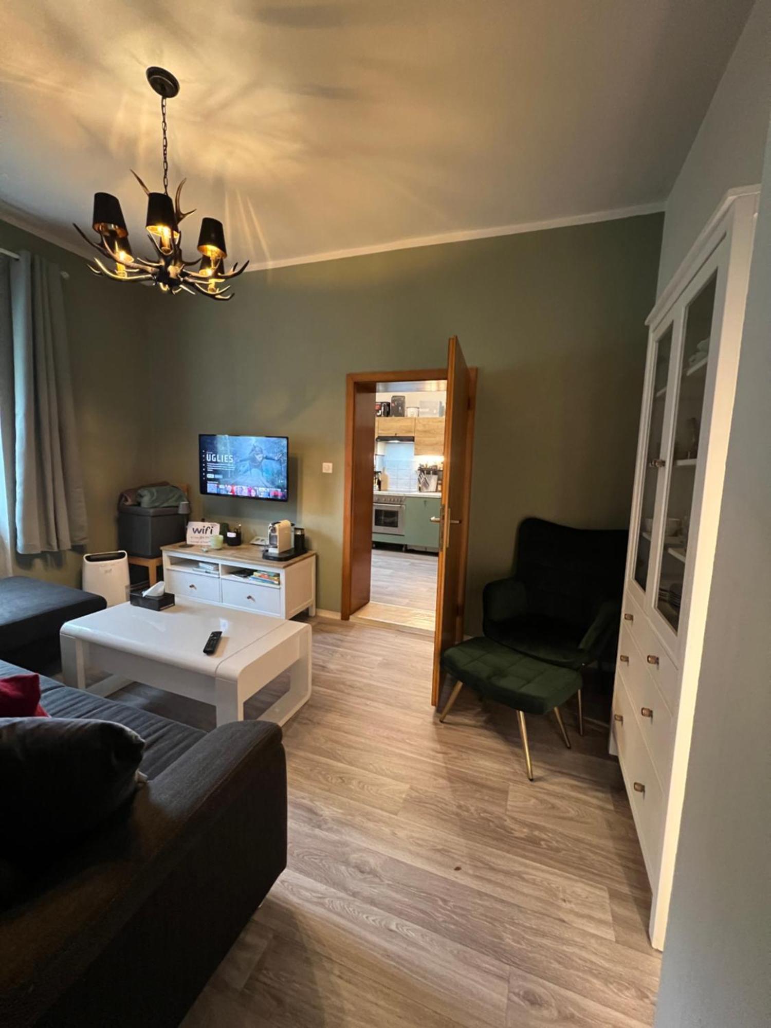 Ausseerland Apartments - Relax, Ski, Hike And Bike, Garden, Parking, Bbq, Near Hallstatt, Loser, Tauplitz And Krippenstein, Free Wi-Fi And Netflix Bad Aussee Luaran gambar