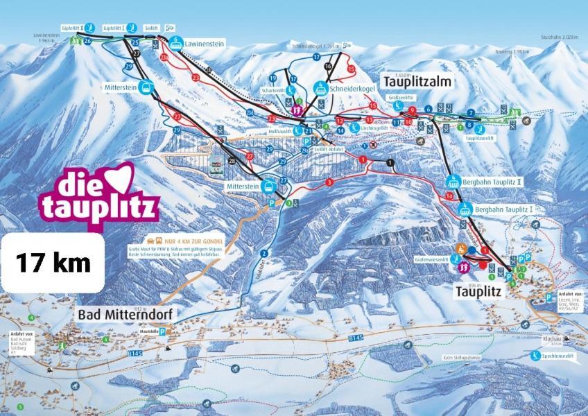 Ausseerland Apartments - Relax, Ski, Hike And Bike, Garden, Parking, Bbq, Near Hallstatt, Loser, Tauplitz And Krippenstein, Free Wi-Fi And Netflix Bad Aussee Luaran gambar