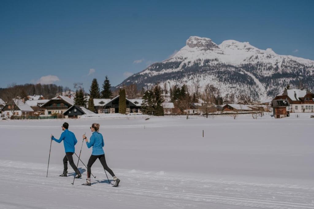 Ausseerland Apartments - Relax, Ski, Hike And Bike, Garden, Parking, Bbq, Near Hallstatt, Loser, Tauplitz And Krippenstein, Free Wi-Fi And Netflix Bad Aussee Bilik gambar