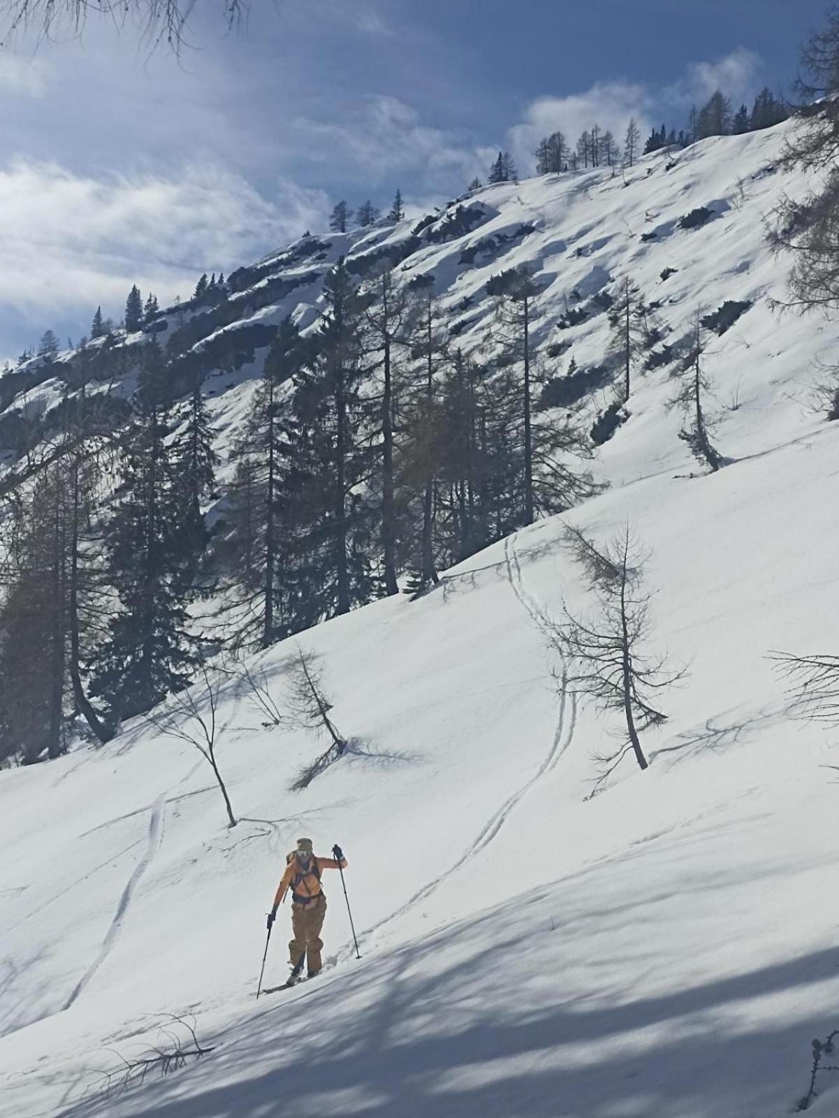 Ausseerland Apartments - Relax, Ski, Hike And Bike, Garden, Parking, Bbq, Near Hallstatt, Loser, Tauplitz And Krippenstein, Free Wi-Fi And Netflix Bad Aussee Luaran gambar