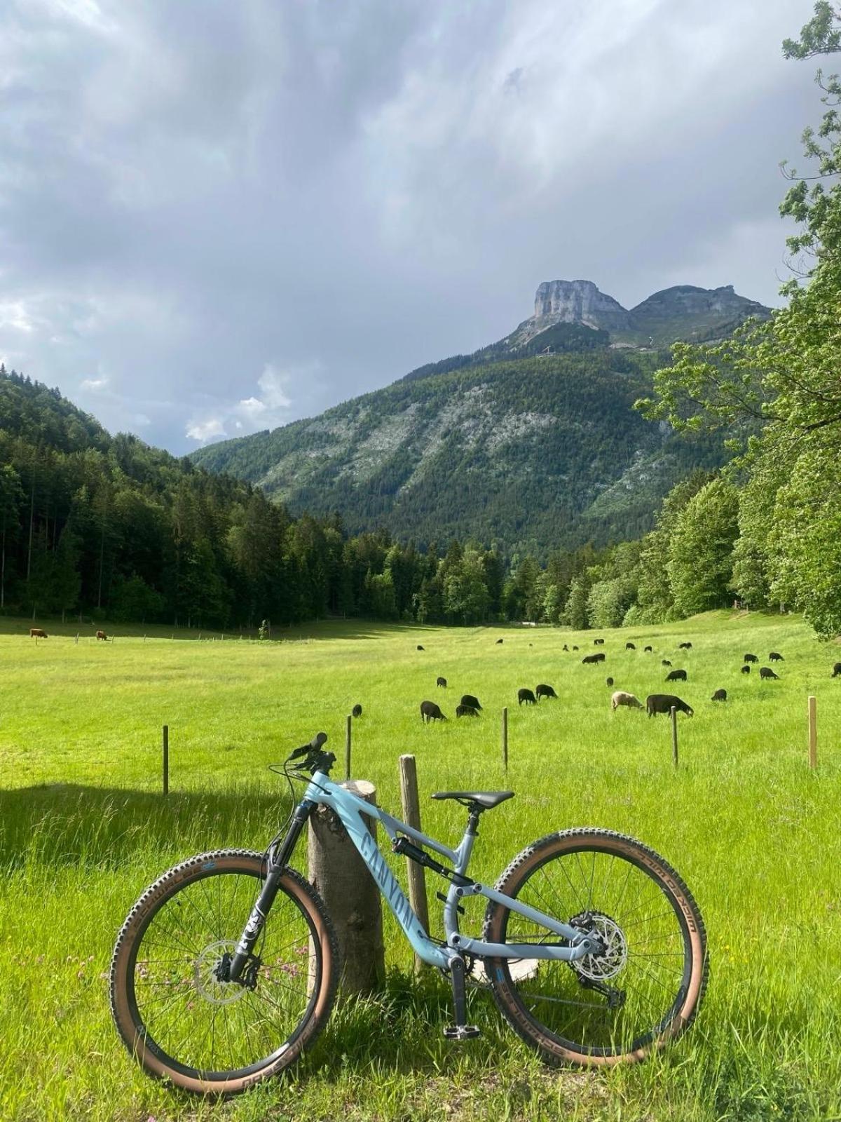 Ausseerland Apartments - Relax, Ski, Hike And Bike, Garden, Parking, Bbq, Near Hallstatt, Loser, Tauplitz And Krippenstein, Free Wi-Fi And Netflix Bad Aussee Luaran gambar
