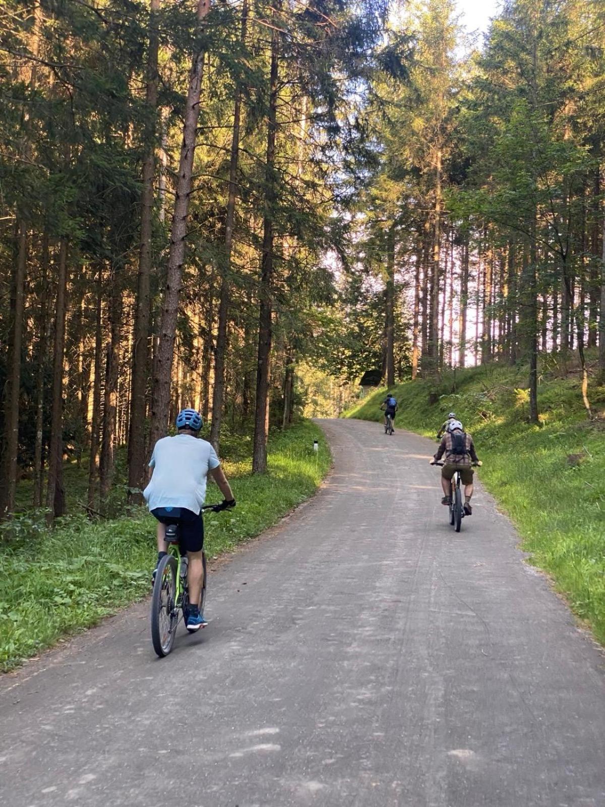 Ausseerland Apartments - Relax, Ski, Hike And Bike, Garden, Parking, Bbq, Near Hallstatt, Loser, Tauplitz And Krippenstein, Free Wi-Fi And Netflix Bad Aussee Luaran gambar